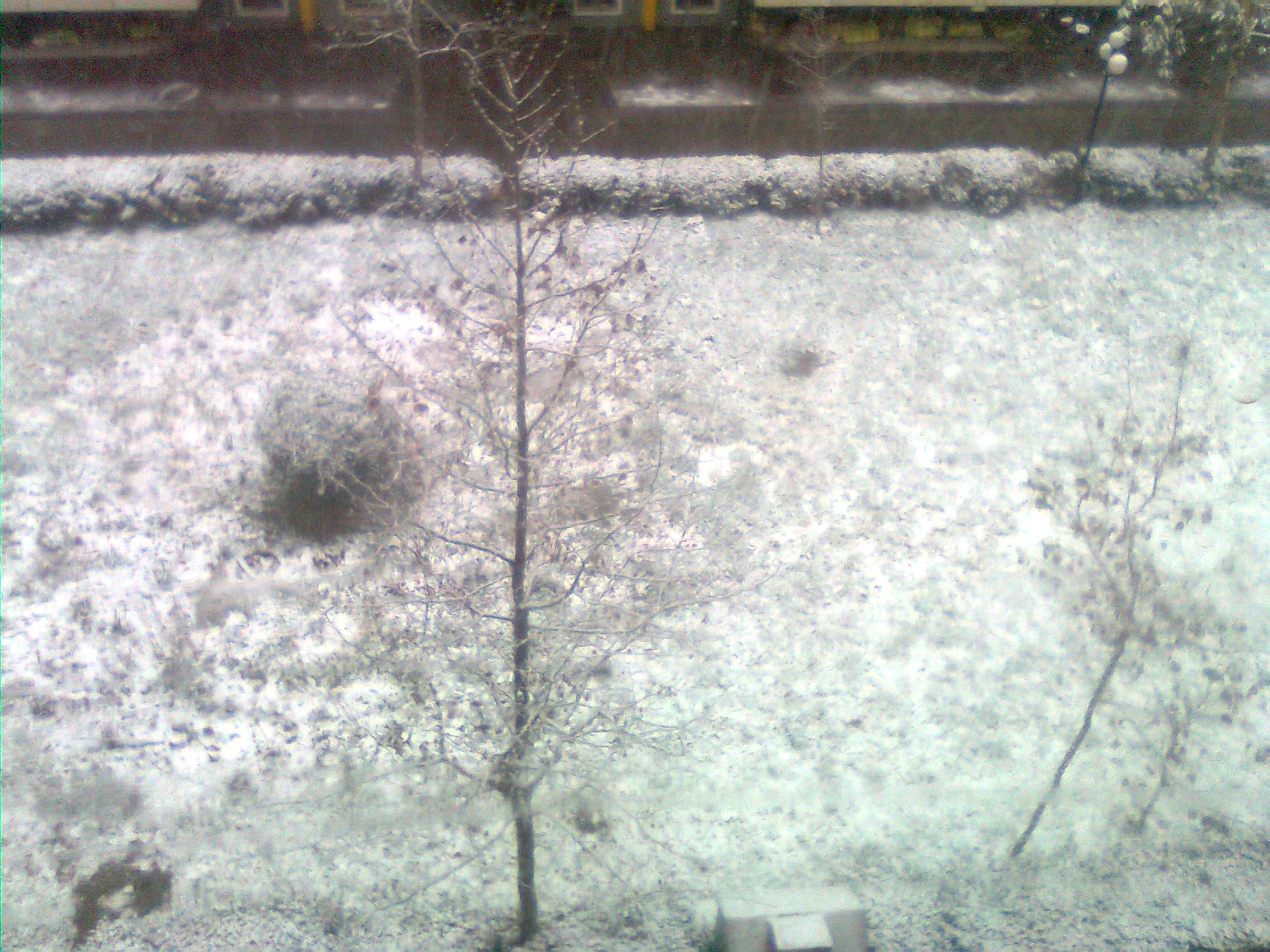 2011年的第一场雪